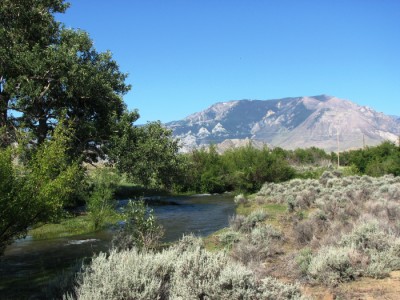 Wyoming, mountain view property for sale, Cody