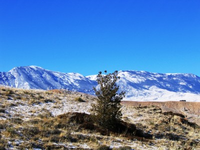 Wyoming real estate ranch farm for sale, Cody