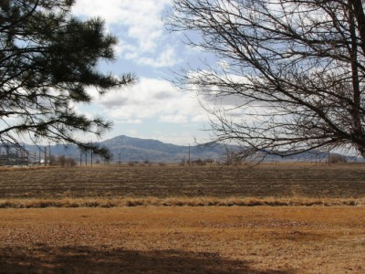 Powell Wyoming real estate