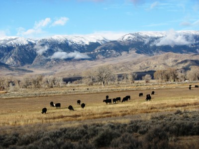 Wyoming  ranch  for sale, Cody, Wyoming
