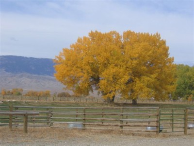 Wyoming  ranch  for sale, Cody, Wyoming