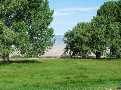 Wyoming ranches for sale, Cody, Wyoming