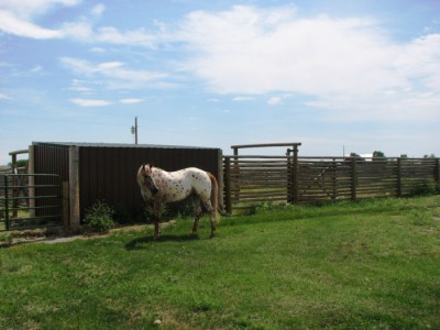 Wyoming horse property, Cody, Wyoming