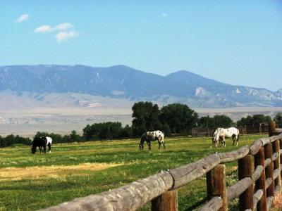 Wyoming horse property, Cody, Wyoming