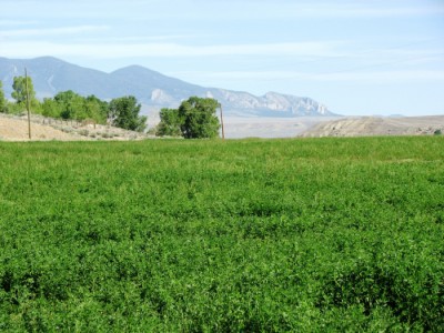 Wyoming horse property, Cody, Wyoming