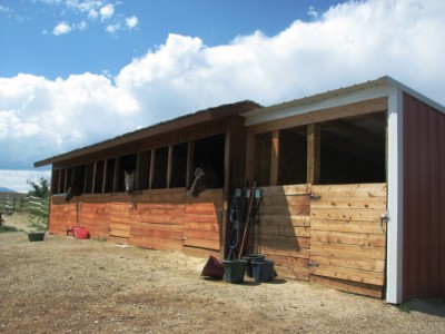 Wyoming real estate ranch farm for sale, Cody
