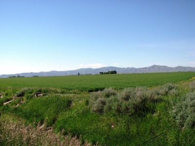land for sale, Powell