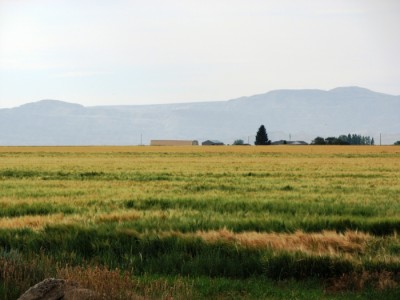powell wyoming real estate