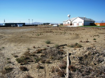 powell wyoming real estate, land for sale