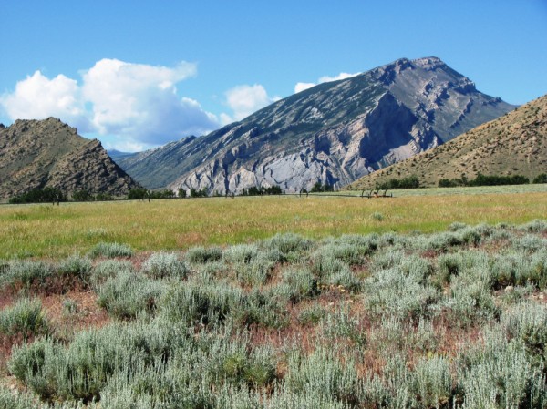 Wyoming, ranch for sale, creek, Cody, Wyoming