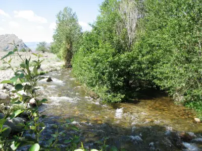 Wyoming, ranch for sale creek, Cody