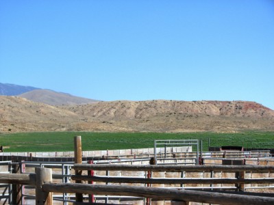 Wyoming ranches for sale, Cody, Wyoming
