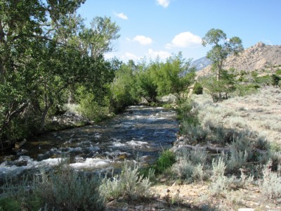 Wyoming ranches for sale, Cody, Wyoming