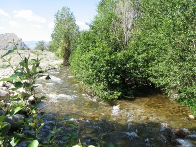 Wyoming ranches for sale, Cody, Wyoming