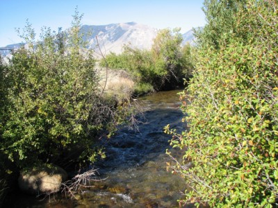 Wyoming, mountain view property for sale, Cody