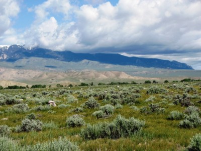 Wyoming Land for Sale
