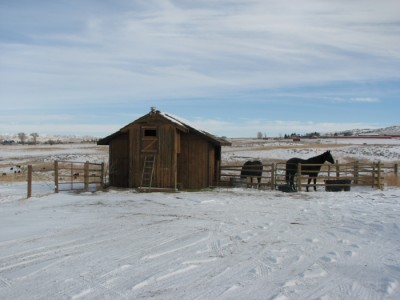 cody wyoming real estate