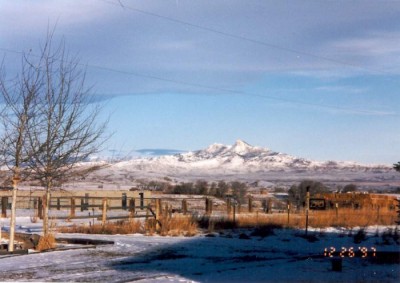 cody wyoming real estate