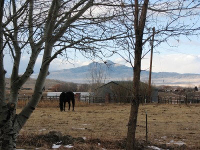 cody wyoming real estate