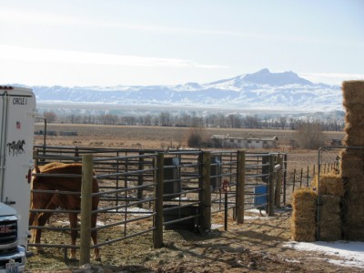 wyoming horse property