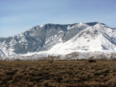 wyoming real estate