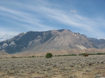 cody Wyoming real estate