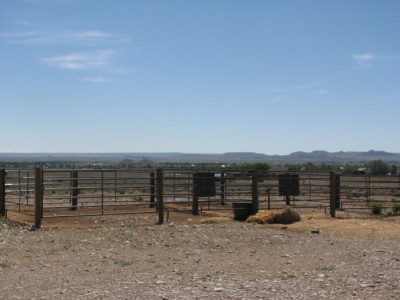 cody Wyoming real estate