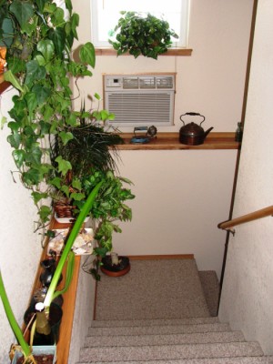 cody wyoming real estate