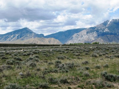 Wyoming Land For Sale
