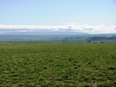 Cody, Powell, Clark, land real estate Wyoming