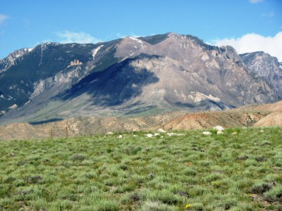 Cody, Powell, Clark, land real estate Wyoming