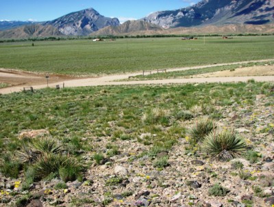 Cody, Powell, Clark, land real estate Wyoming