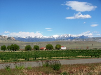 vacant land for sale, Cody, Wyoming