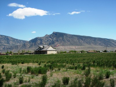 vacant land for sale, Cody, Wyoming