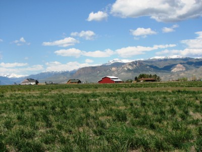 vacant land for sale, Cody, Wyoming