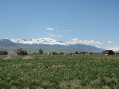 vacant land for sale, Cody, Wyoming