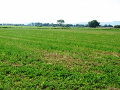 land for sale in Wyoming