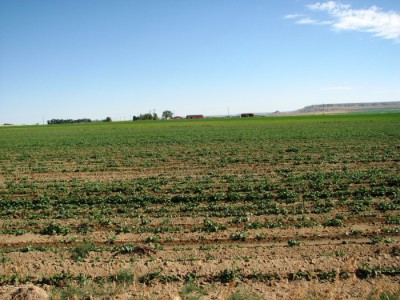 land for sale in Wyoming
