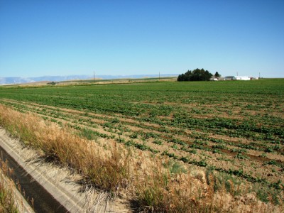 land for sale in Wyoming