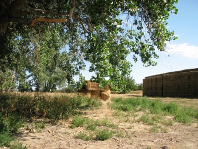 land for sale in Wyoming