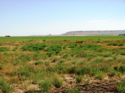 northern wyoming land for sale