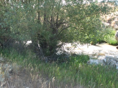 land for sale Wyoming
