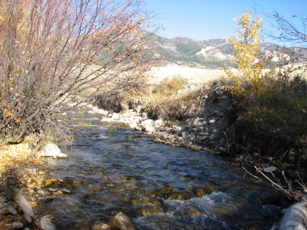 wyoming ranch for sale