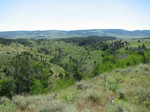 wyoming ranches for sale