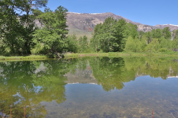 Wyoming Ranches for Sale