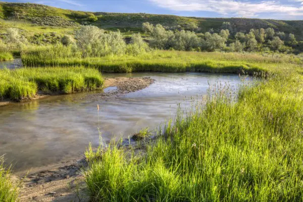 wyoming ranches for sale