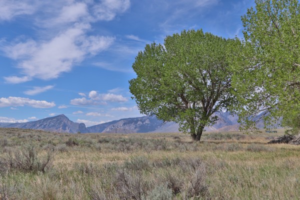 Wyoming Land for Sale