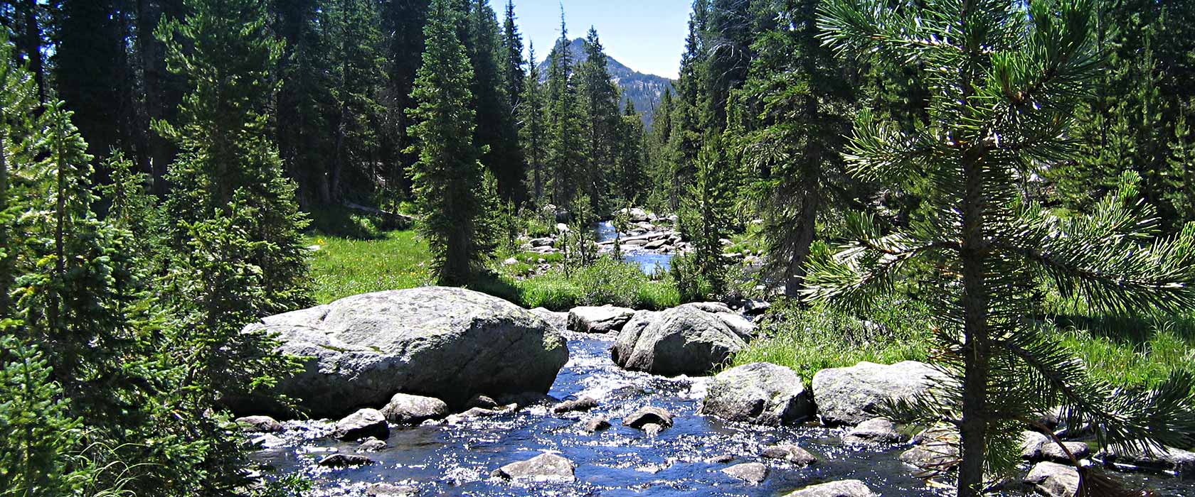 Stockade Creek / Search Wyoming MLS
