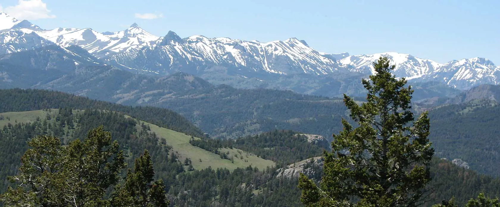 Absaroka Mountain Range / Testimonials