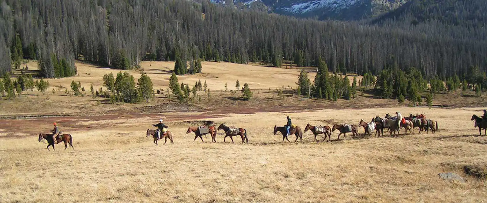 ranch real estate, manderson WY/ranch real estate for sale in manderson WY